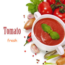 800g Canned Tomato Paste for Turkey